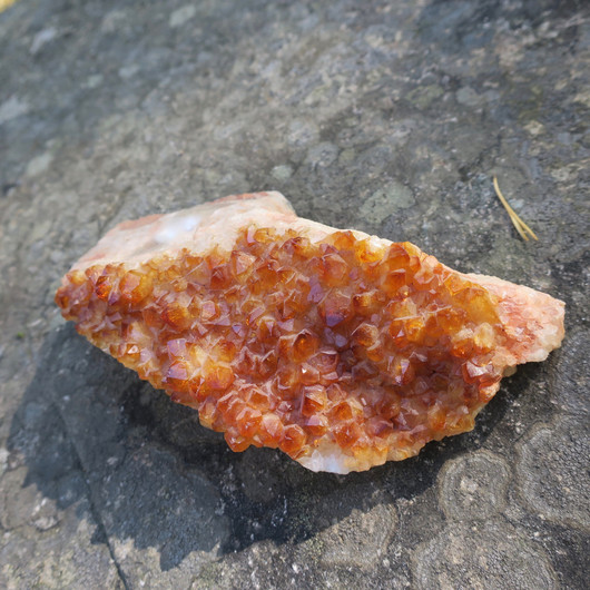 Sitriini kidesykerö 580g 17x6cm E, lämpökäsitelty