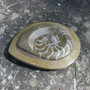 Ammoniitti 14cm  550g fossiili B