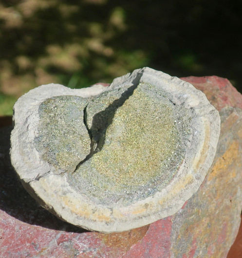 Pyriittiä savikuoren suojassa 340g  9x8x4cm