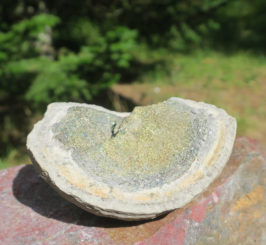 Pyriittiä savikuoren suojassa 340g  9x8x4cm