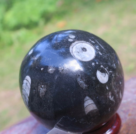 Fossiilipallo Orthoceras-oikosarvi 265g 53mm nroC