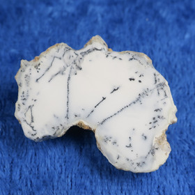 Dendriittiopaali valkoinen 7g 50x35x10mm sahattu ja raakapinta Hi77va5