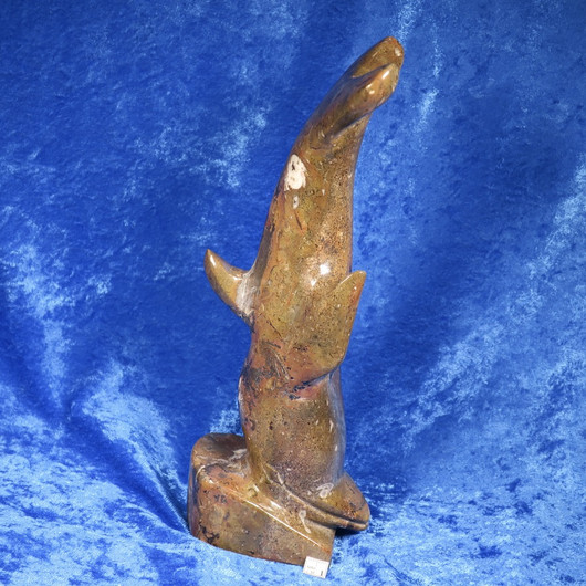 Fossiiliveistos goniatiitti DELFIINI  1360g 