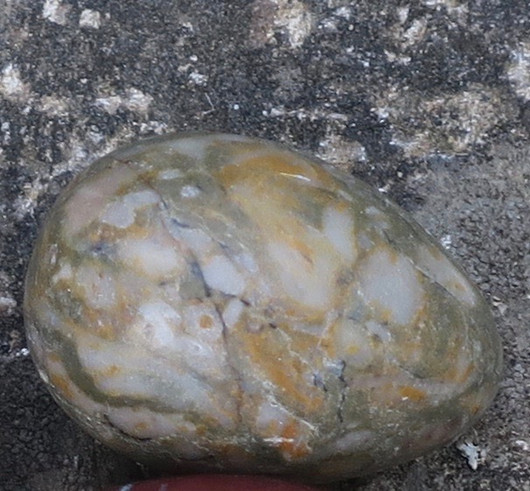 Kivimuna fossiilijaspis pieni 12g 25mm