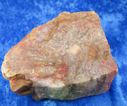 Kivettynyt puu raaka 260g nro23B Madagaskar