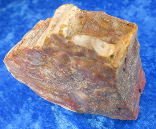 Kivettynyt puu raaka 260g nro23B Madagaskar