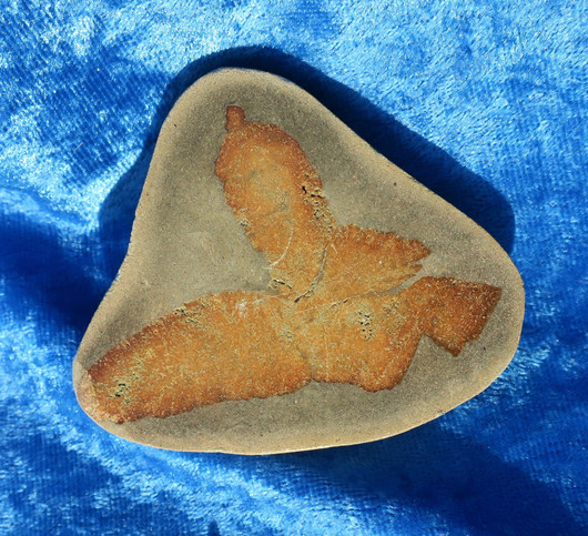 Glendoniitti 97g ikaiitti puolikas hi1. Katso video