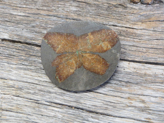 Rintakoru Glendoniitti ikaiitti