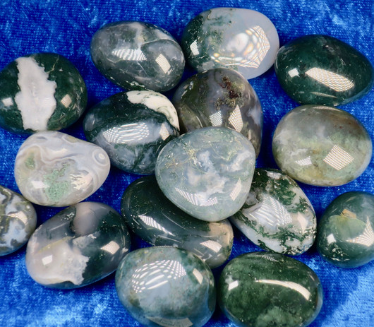 Sammalakaatti rumpuhiottu. Intia. Valitse koko 1-40g