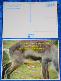 Postikortti Poro - lapin lomalla on pitkää ja päätöntä...