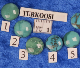 Kapussi turkoosi aito 10mm pyöreä cabochon