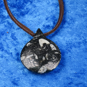 Riipus Orthoceras-oikosarvifossiili porattu