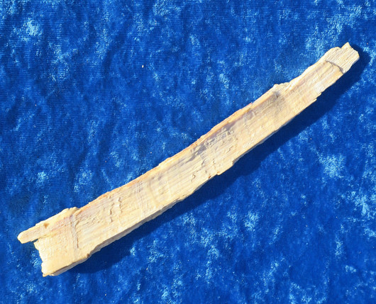 Mammutin luu 34g 19cm nro hima1