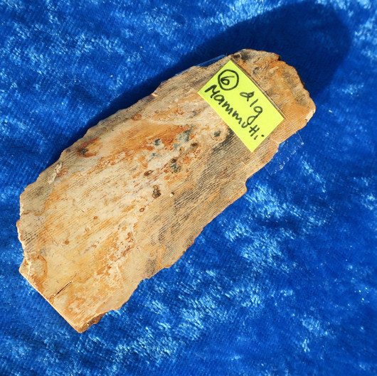 Mammutin luu 21g 8cm nro hima6