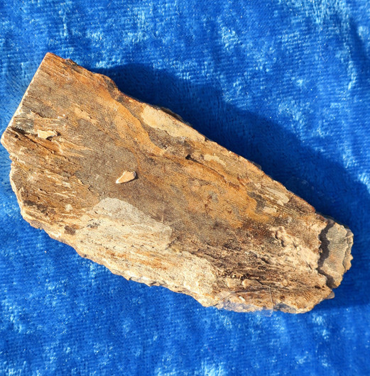 Mammutin luu 21g 8cm nro hima6