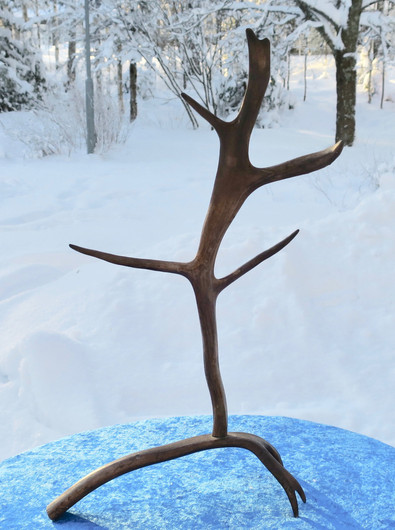 poronsarviteline korkeus 52cm 5-haarainen pöytäkoriste