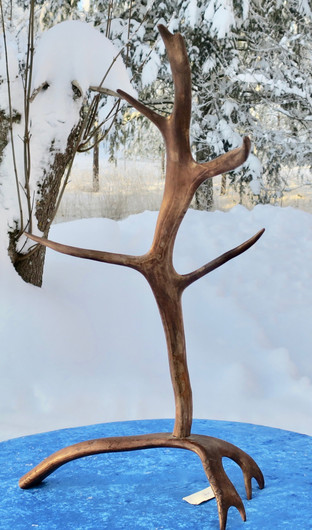 poronsarviteline korkeus 52cm 5-haarainen pöytäkoriste