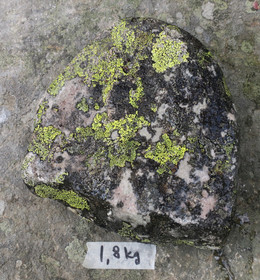 Kvartsiitti sammalkivi 1800g  Suomi