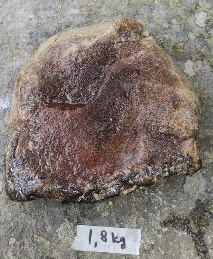 Kvartsiitti sammalkivi 1800g  Suomi