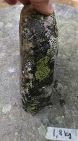 Kvartsiitti sammalkivi 1800g  Suomi