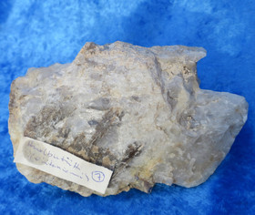 Hurlbutiitti 567g, muskoviittia harmaa iso Viitaniemi Suomi nro Hi7