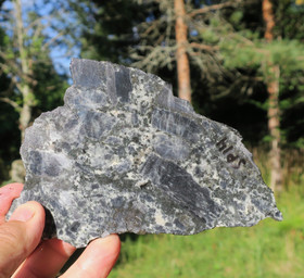 spektroliitti siivu 210g 140x100x7mm  Ylämaa Suomi nro SP14