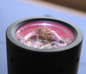 Ametisti tumma kaksikärkinen kide 19mm nro Hiame1