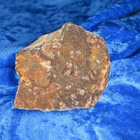 Kuplagötiitti 49g 6x5x1cm kidepinta Sätkäjärvi Kittilä Hi28E Video