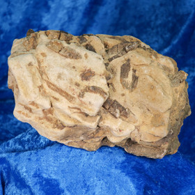 Klintoniitti Clintonite iso 1124g 14х8х7cm Kuusamo Suomi Hi33 ks.video