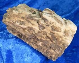 Klintoniitti Clintonite iso 1124g 14х8х7cm Kuusamo Suomi Hi33 ks.video