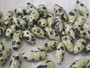 Dalmatianjaspis n.12x4mm riisin mallinen irtohelmi 
