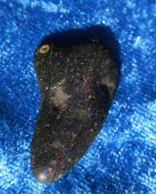 Musta opaali 3,2g 30x17mm nro HiOpM1