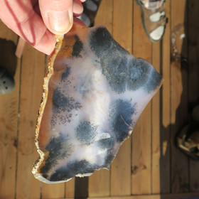 Dendriittiakaatti siivu 193g nro Hi77s