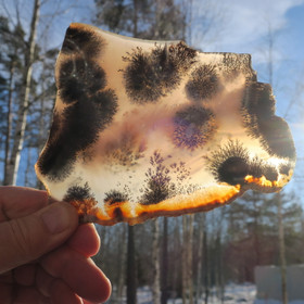 Dendriittiakaatti siivu 193g nro Hi77s