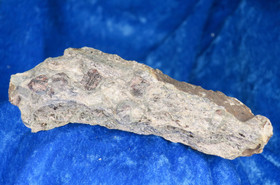 Gneissi, almandiini granaatteja 269g  Hi89  