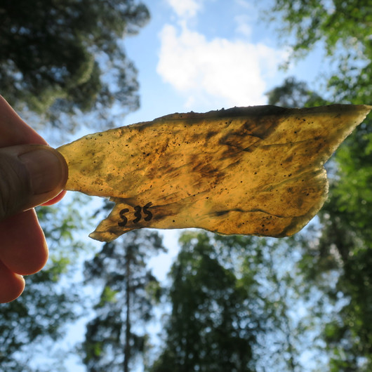 Jaloserpentiini siivu 130x50x6mm 100g Suomi s35 