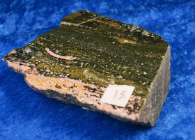 Valtamerijaspis toiselta puolelta hiottu siivu 70x50x19mm 110g nro 15