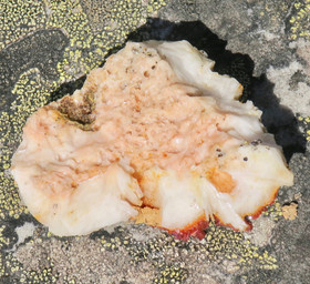 Vanadiniitti baryytti 51g 40x40x16mm Marokko 12L 