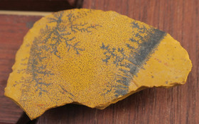 Mookaiittijaspis, dendriitti 12g 45x25x9mm Australia