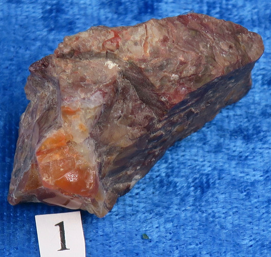 Tuliopaali raaka nro A1-A4 Meksiko