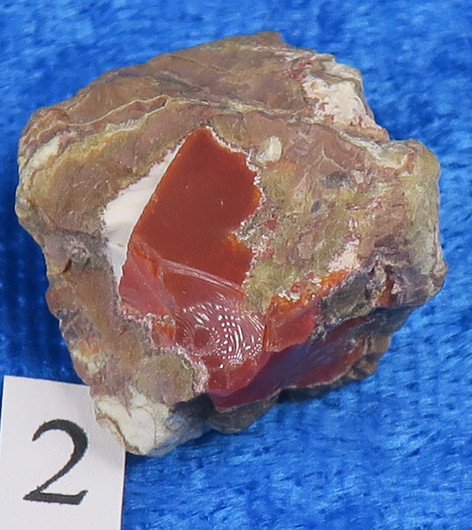 Tuliopaali raaka nro A1-A4 Meksiko