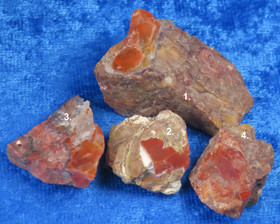 Tuliopaali raaka nro A1-A4 Meksiko