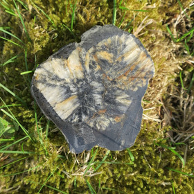 Kiastoliitti siivu 103g 85x80x7mm nro2 