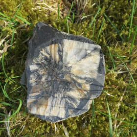 Kiastoliitti siivu 95g 85x80x7mm nro3 