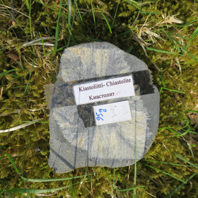 Kiastoliitti siivu 95g 85x80x7mm nro3 