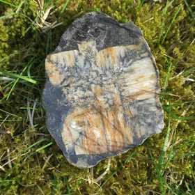 Kiastoliitti siivu 130g 90x80x6mm nro1 