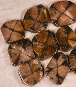 Kiastoliitti ristikivi siivu molemmin puolin hiottu. Valitse koko