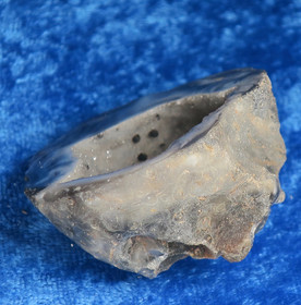 Akaattigeodi nro a20k 41g Brasilia 