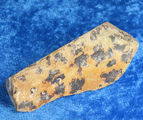 Akaattigeodi 14g Brasilia nro A10L