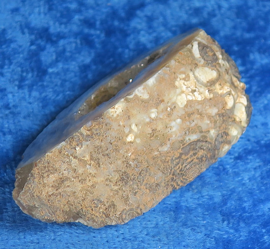 Akaattigeodi 14g Brasilia nro A10K